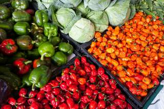 Trays of red, orange and green vegetables