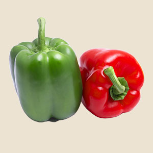 Capsicum